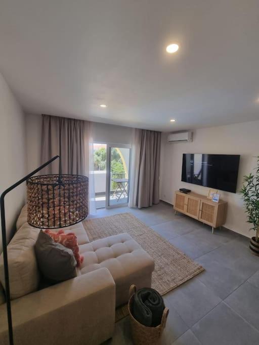 Apartment Sea Turtle -