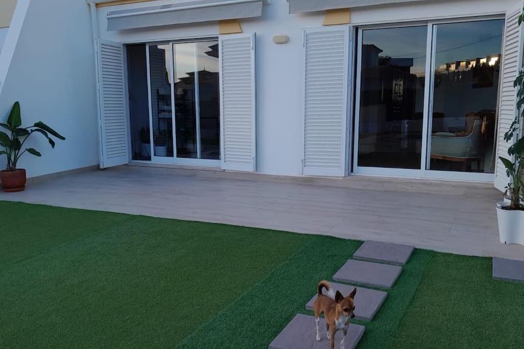 Gale Premium House - Pet Friendly Vakantiehuis Albufeira