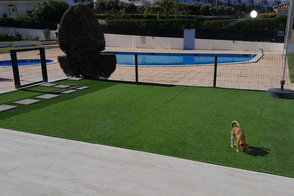 Gale Premium House - Pet Friendly *