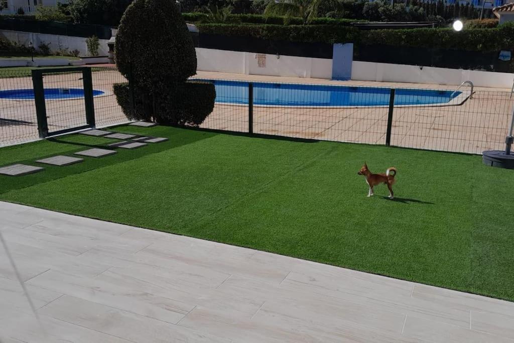 Gale Premium House - Pet Friendly * Albufeira