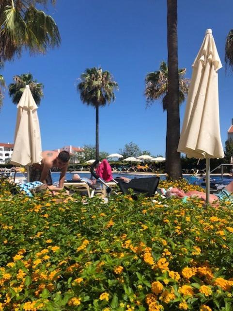 Semanas 30 E 24 Gale Cerro Alagoa Albufeira