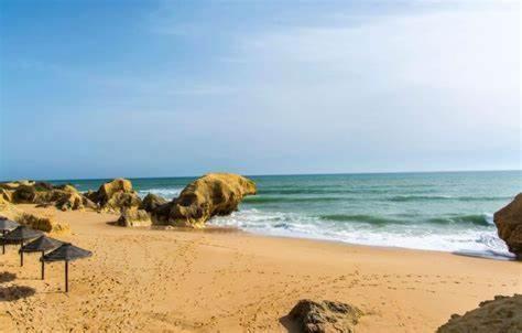 Vakantiehuis Gale Premium House - Pet Friendly