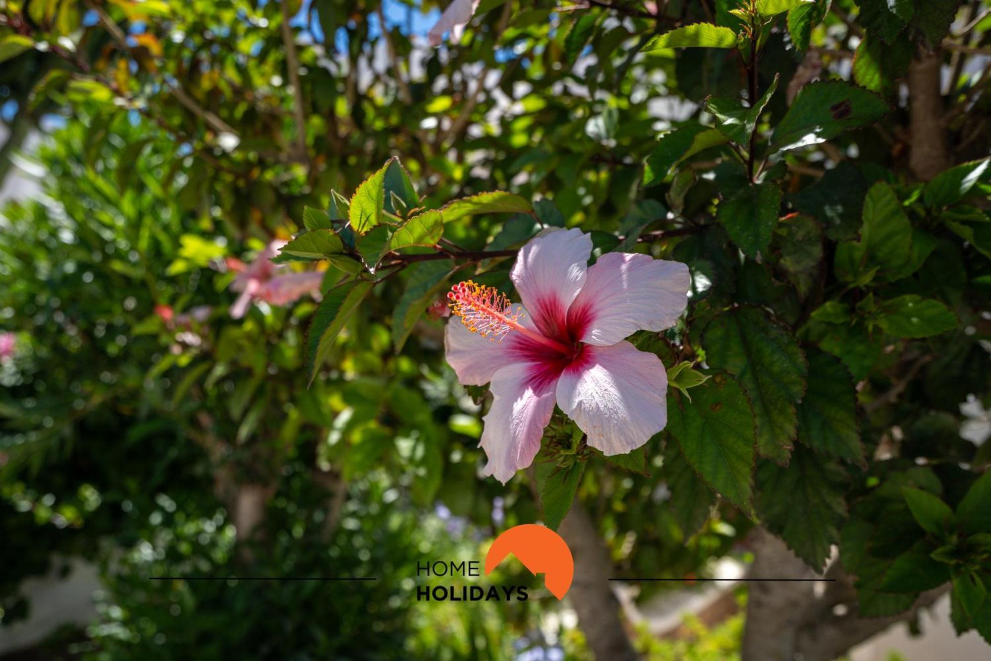 #232 Girasol 33 By Holidays Albufeira