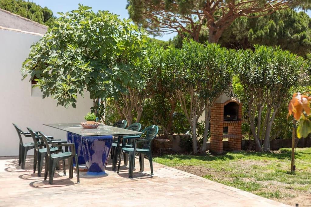 Tac - Acoteias Albufeira