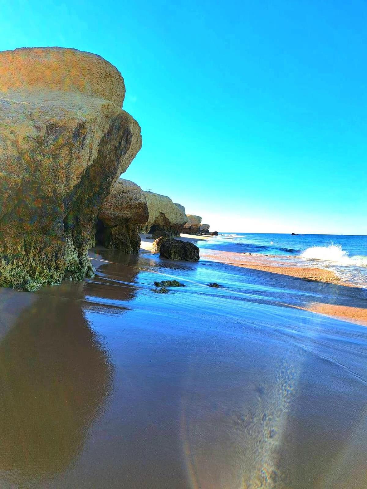 White T1 - Ocean View Apartment Albufeira