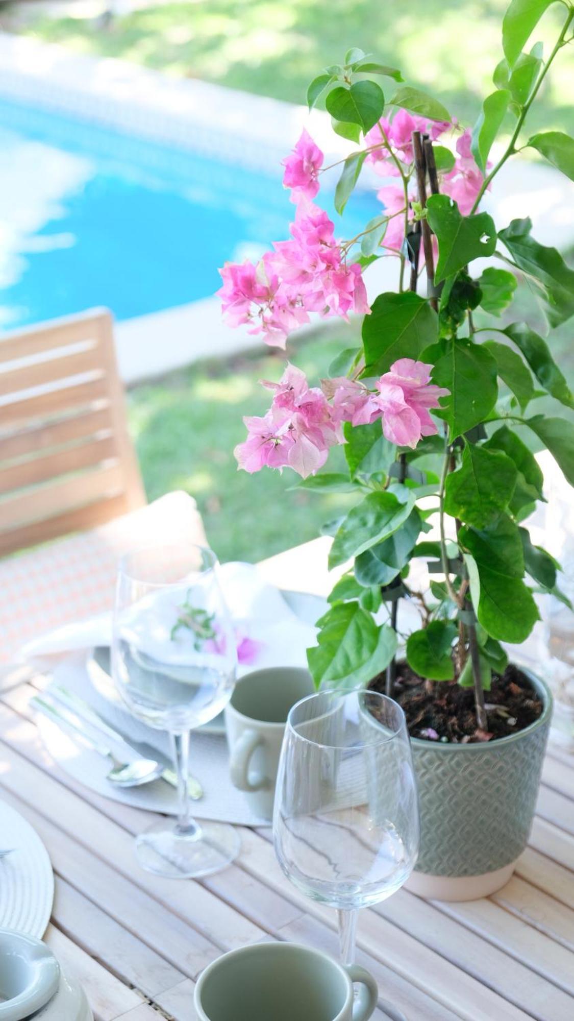 Villa Buganvilla Albufeira