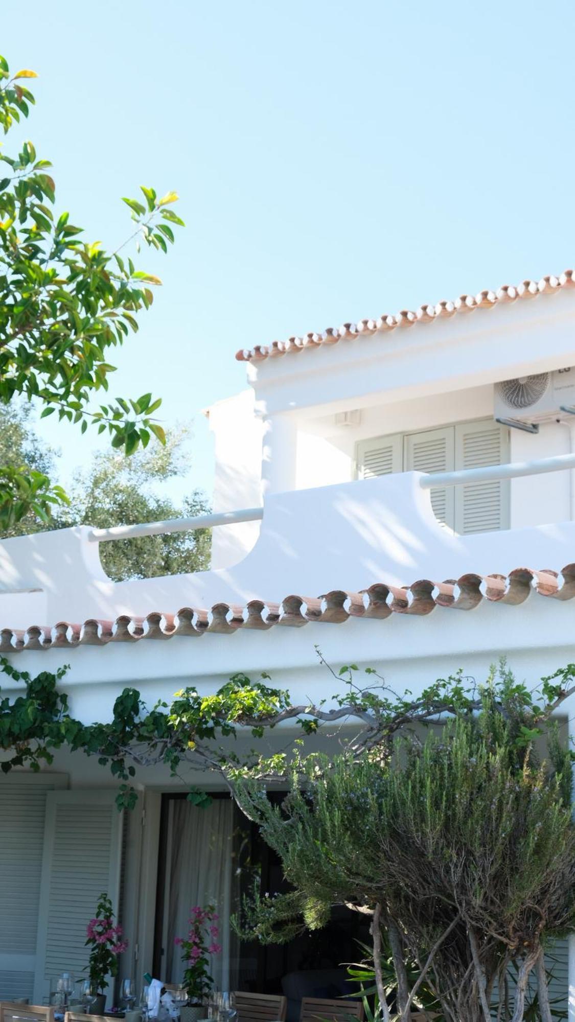 Buganvilla