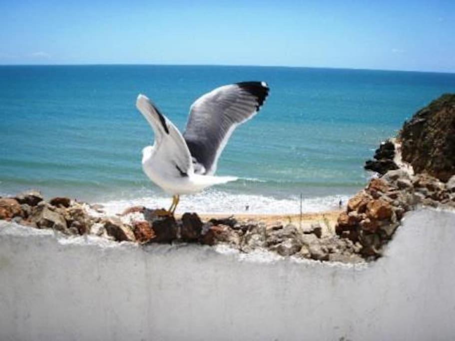 Encosta Do Sol Albufeira