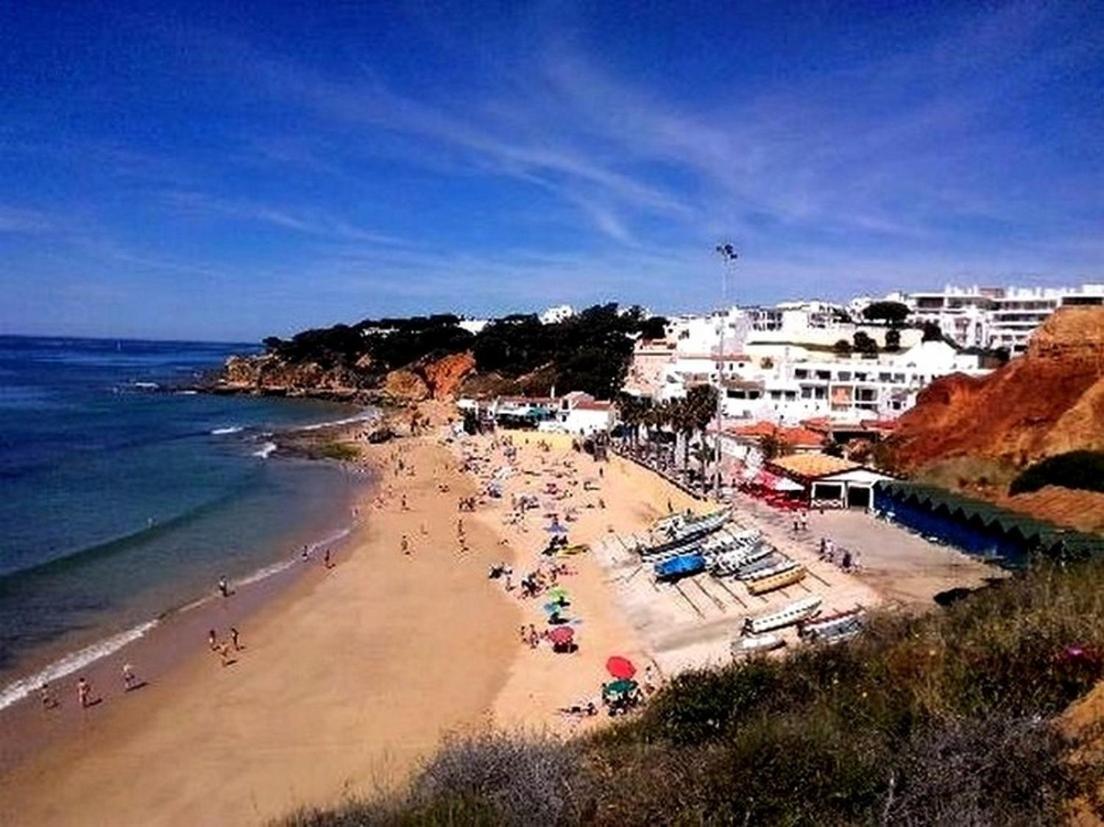 Belavista *