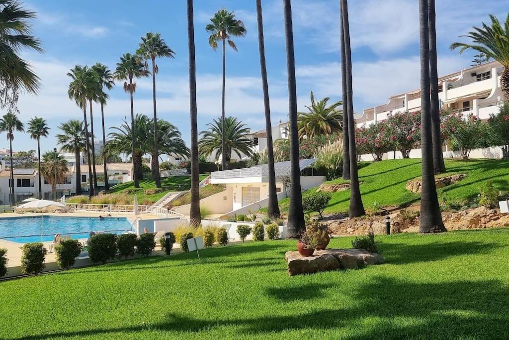 Apartment Albalux - A Place To Enjoy!
