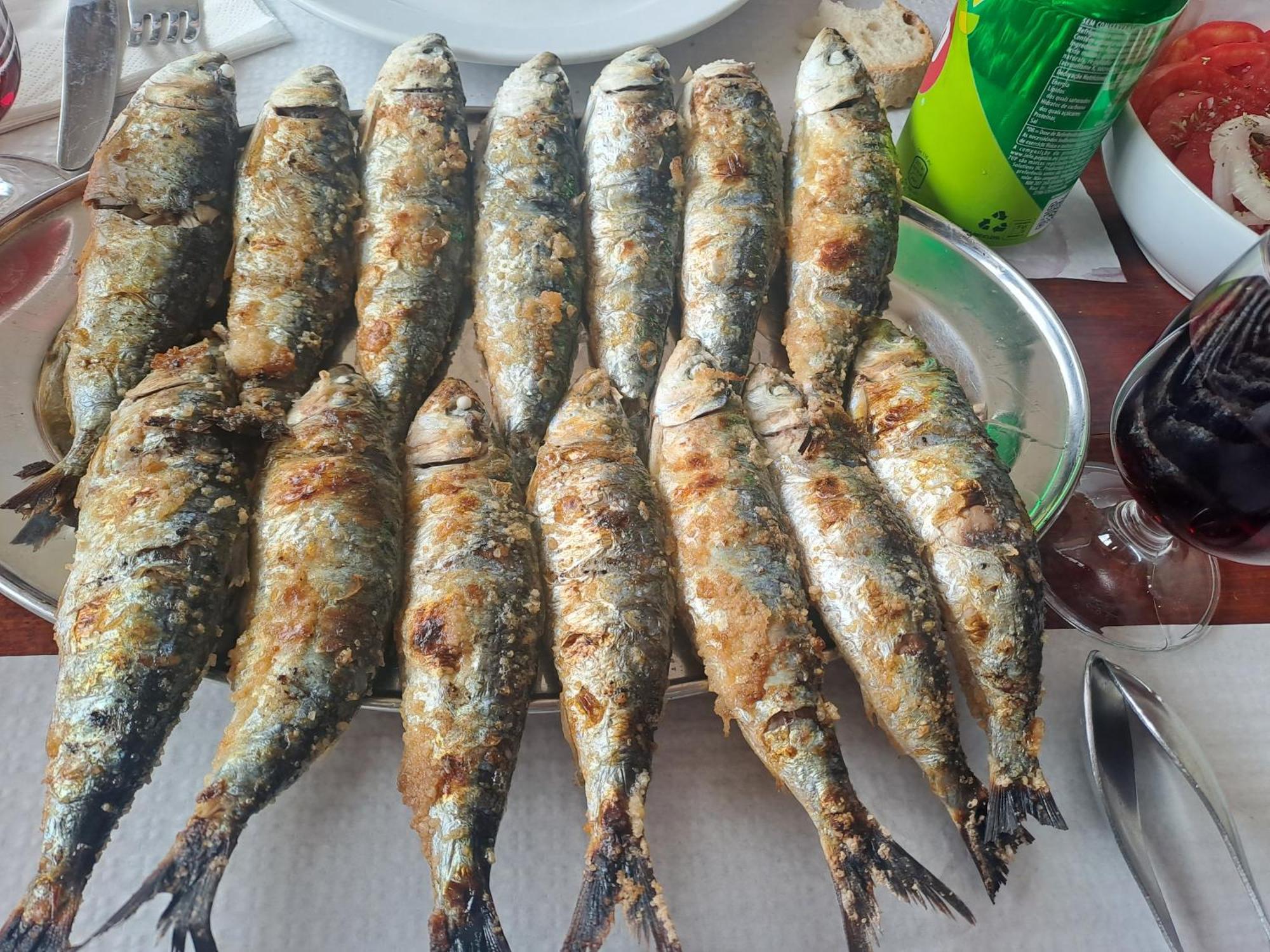 Da Falesia, O Estudio Da Aldeia Acoteias Albufeira
