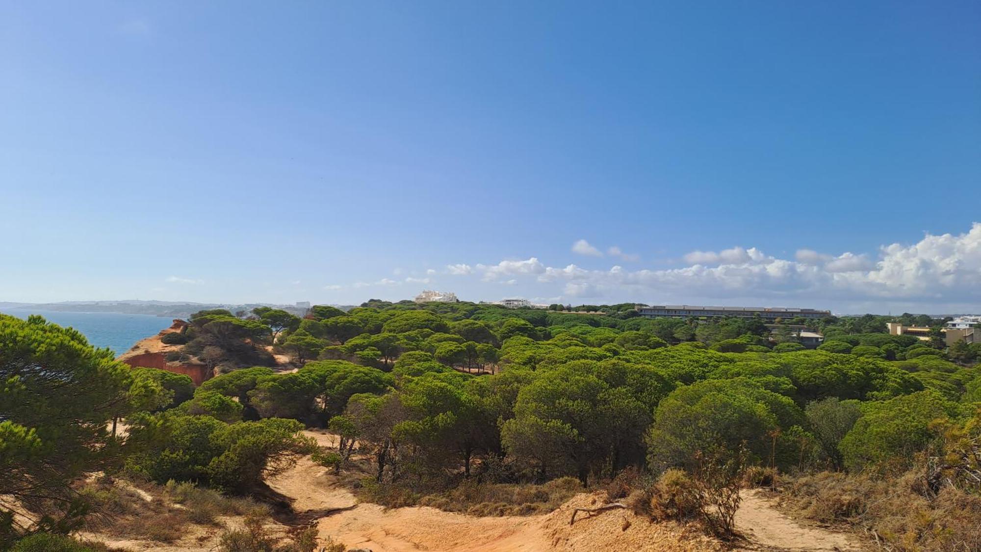 Da Falesia, O Estudio Da Aldeia Acoteias * Albufeira