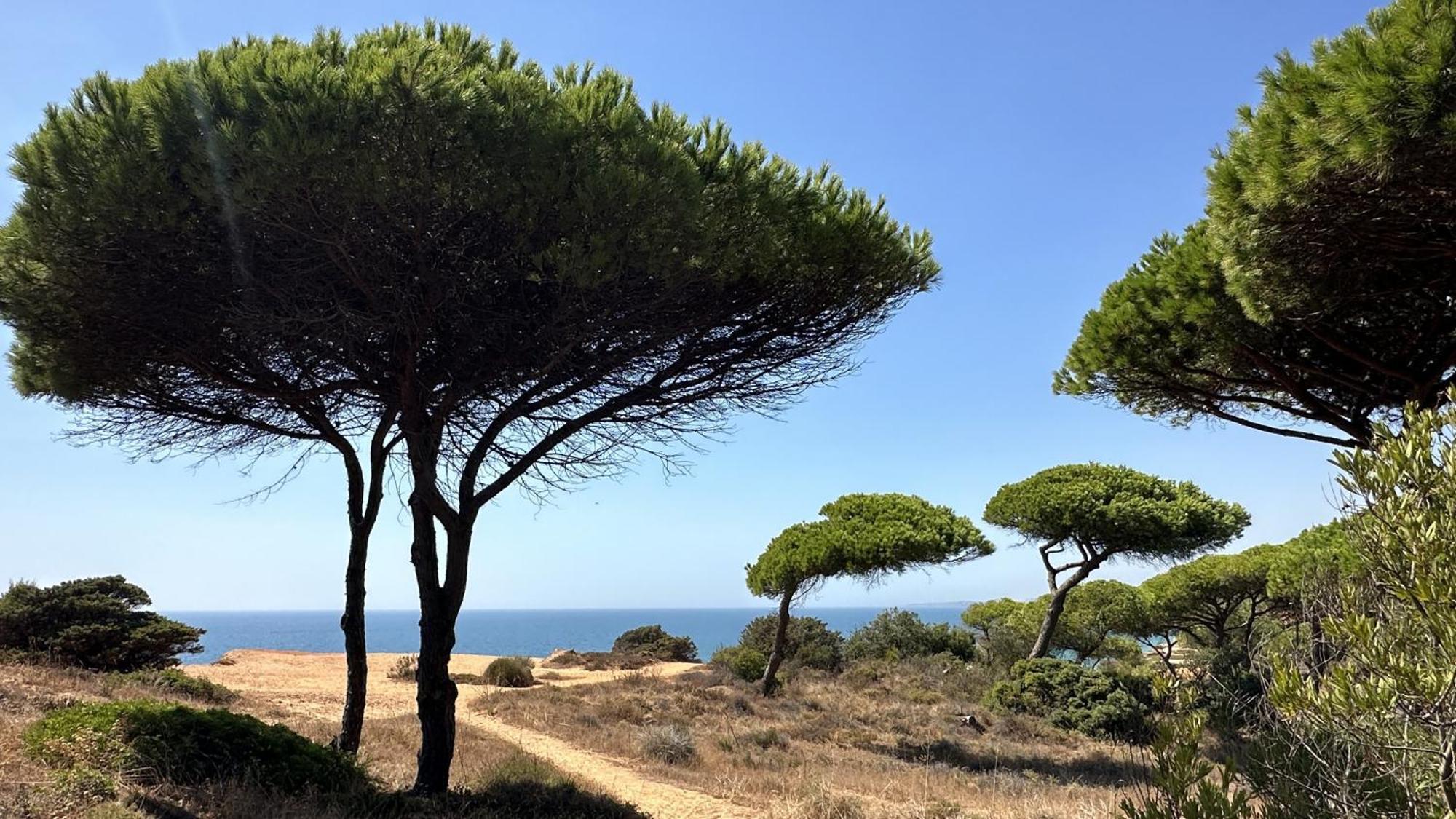 Holiday home Pine Cliffs By Check-in Portugal
