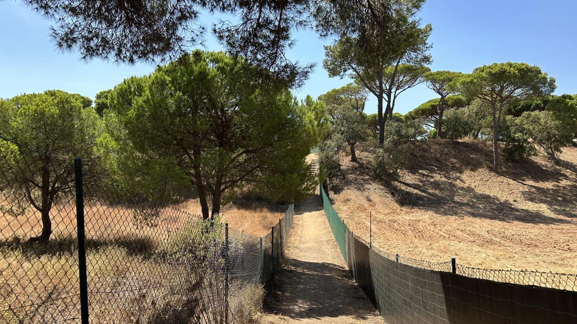 Pine Cliffs By Check-in Portugal Albufeira