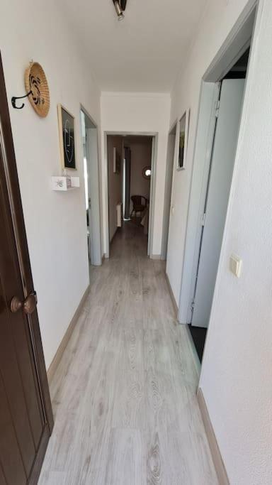 Apartment T1 Centro *