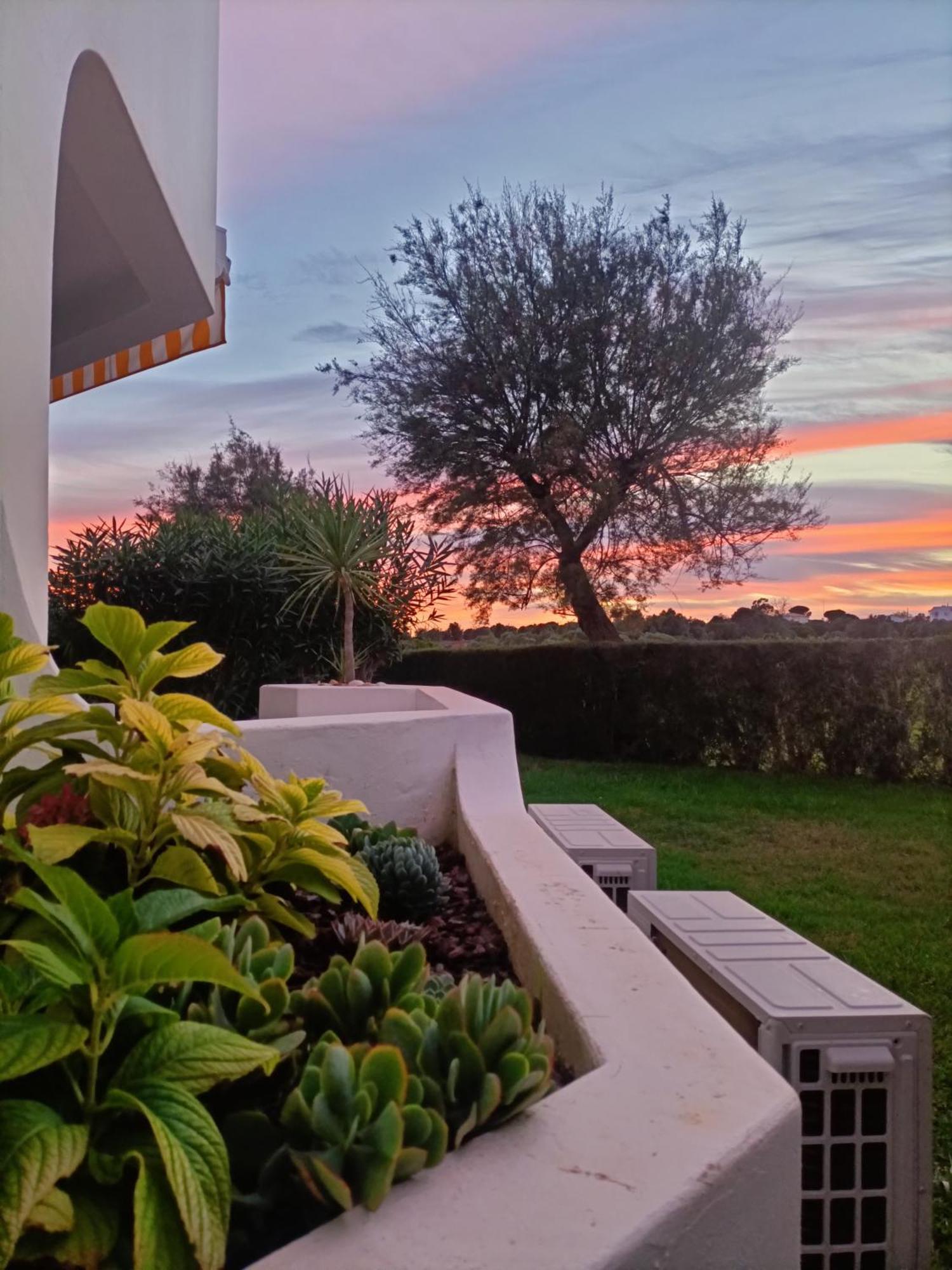 - Casa Balaia
