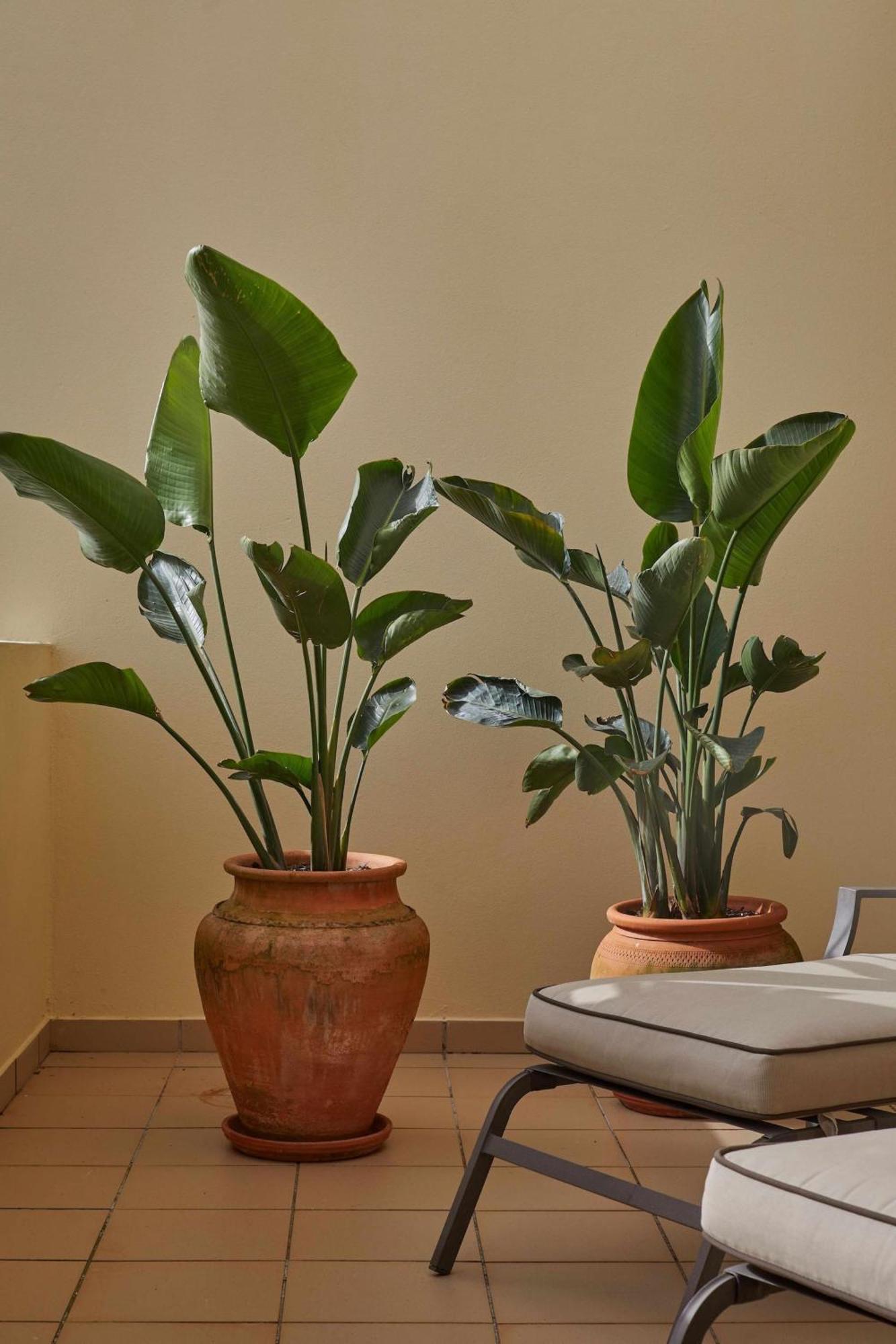 Apartment Casa Terra With Pool & Free Wifi