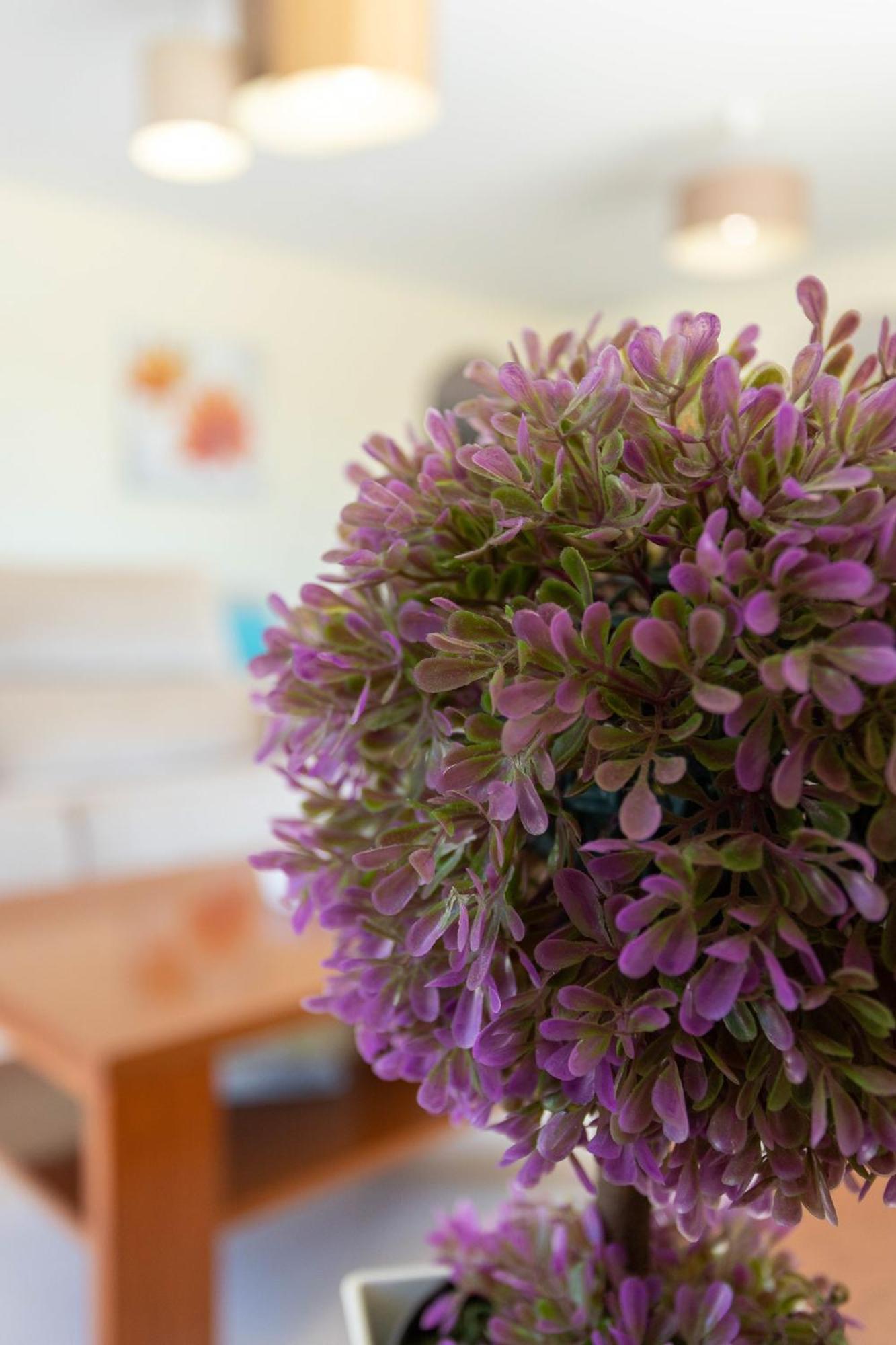 Monte Avos By Ecovillas *