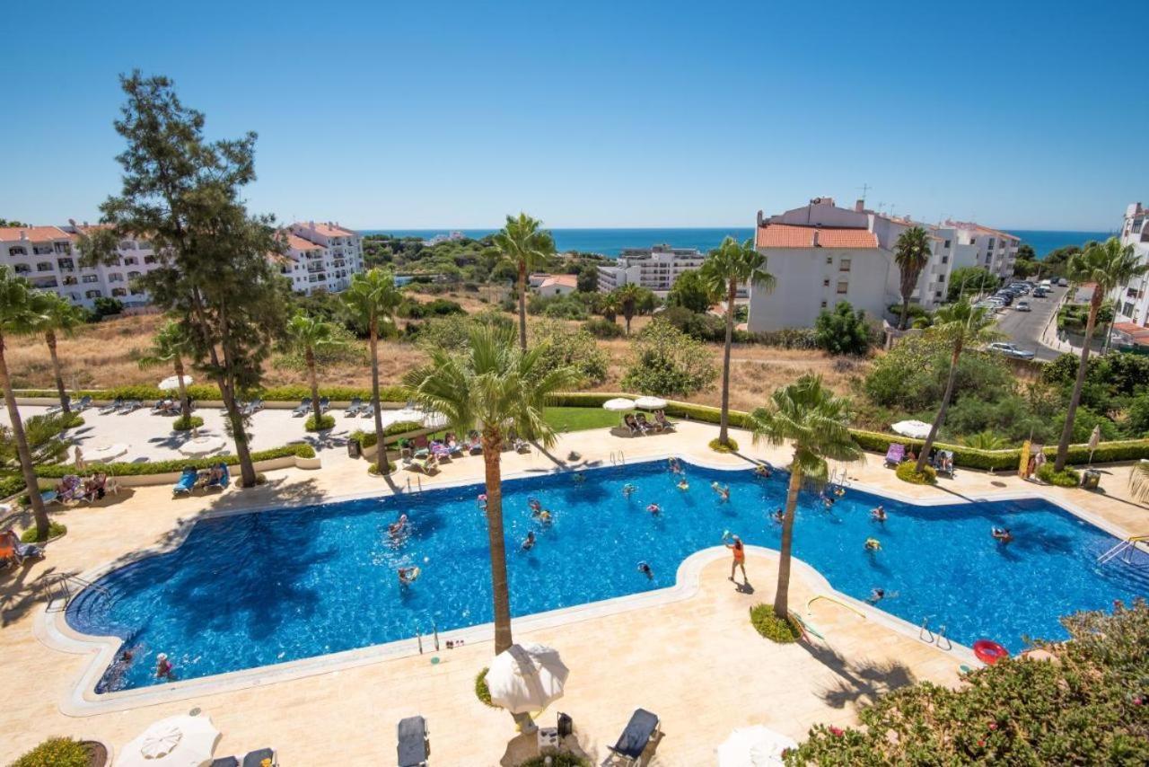 164 - Gale Cerro Alagoa 4*