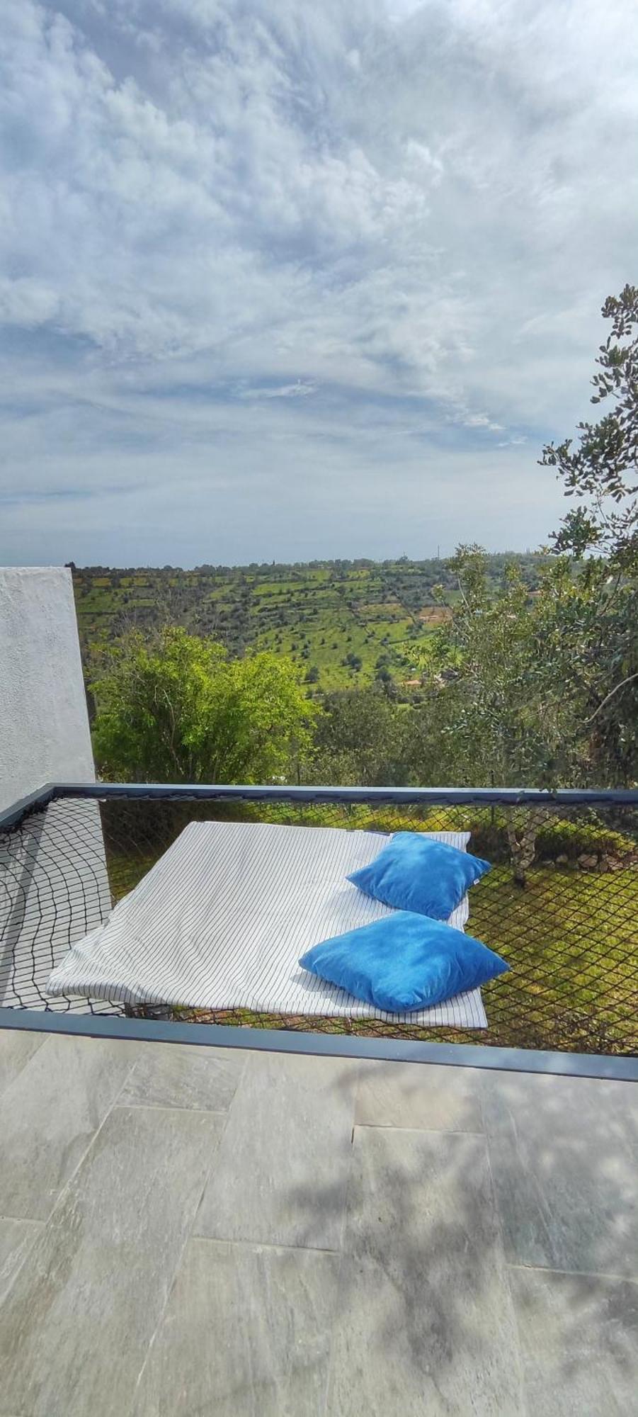 The View House