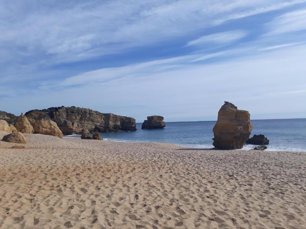 Perfect Holidays