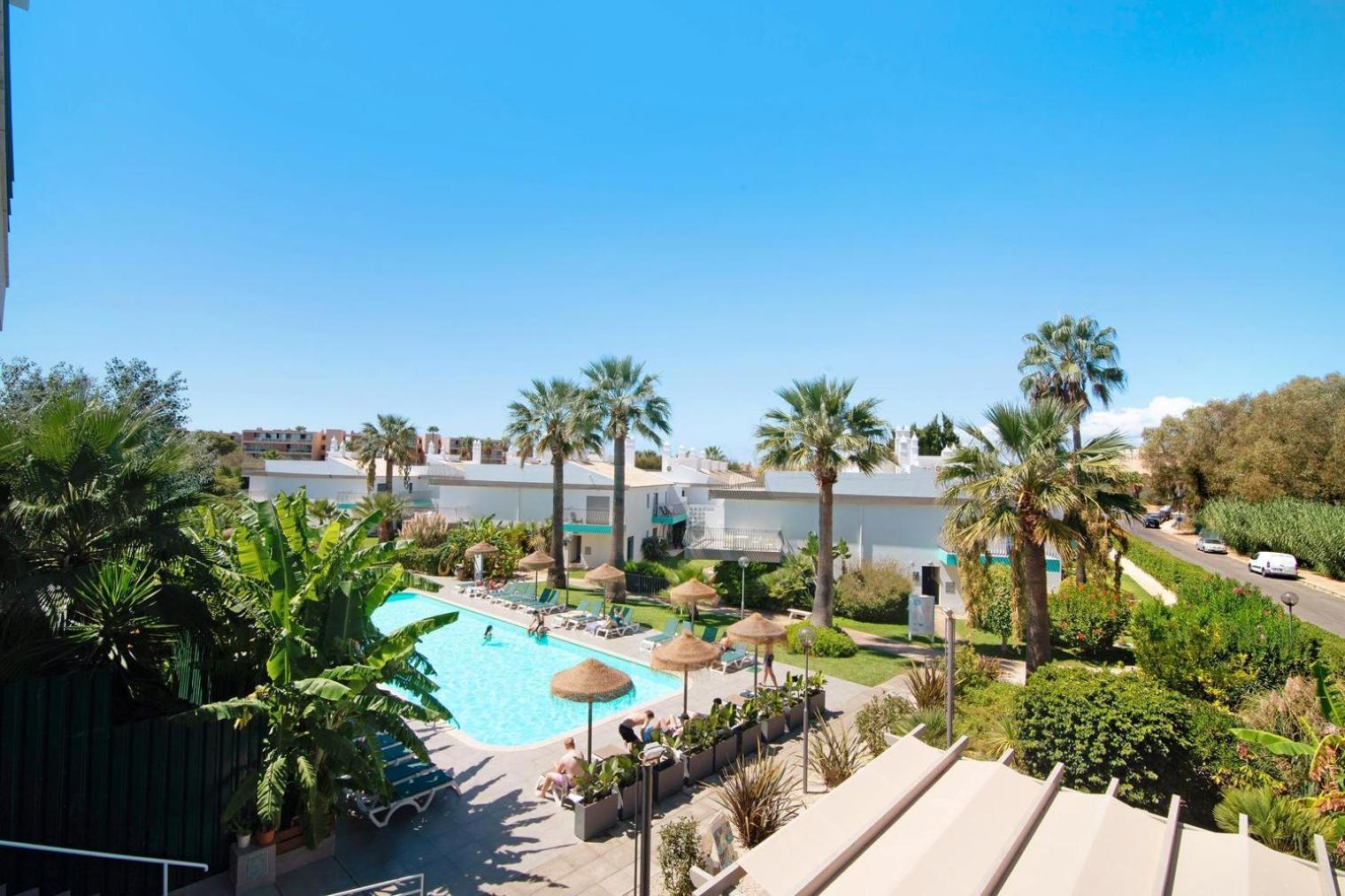 Palm Paradise Salgados