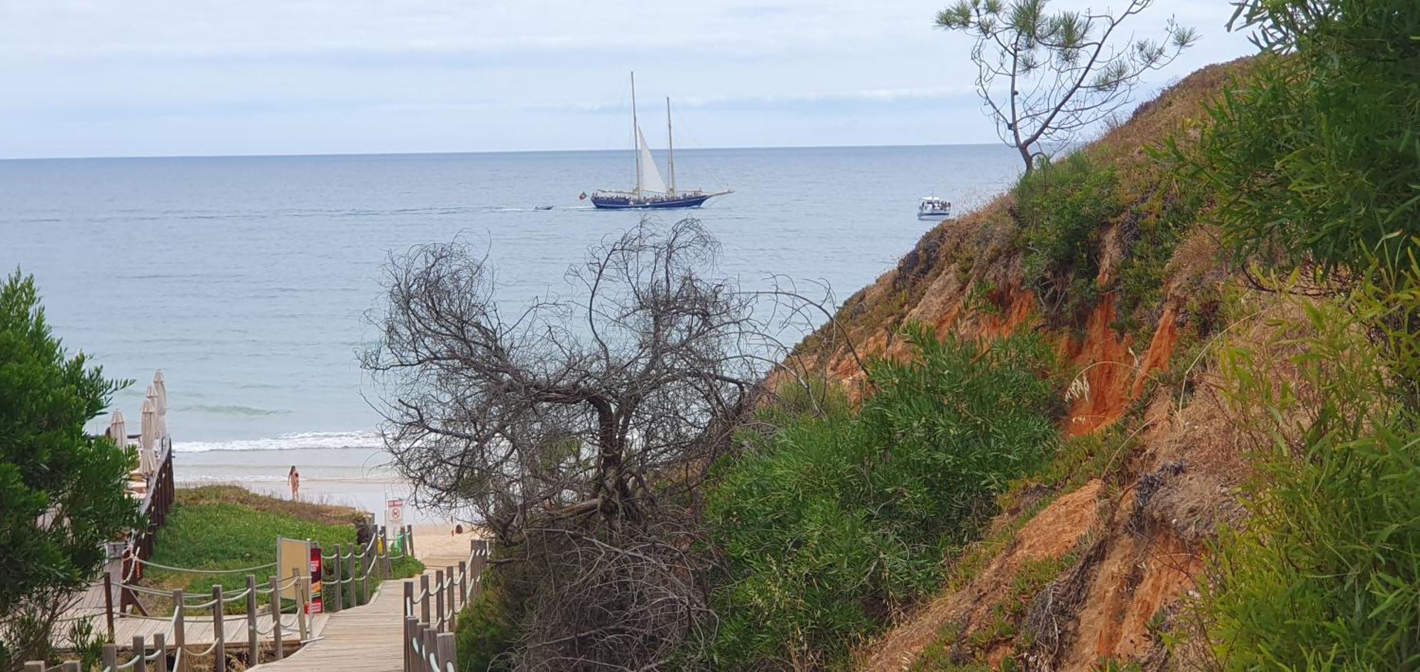 Alfamar E Falesia Apartment Albufeira