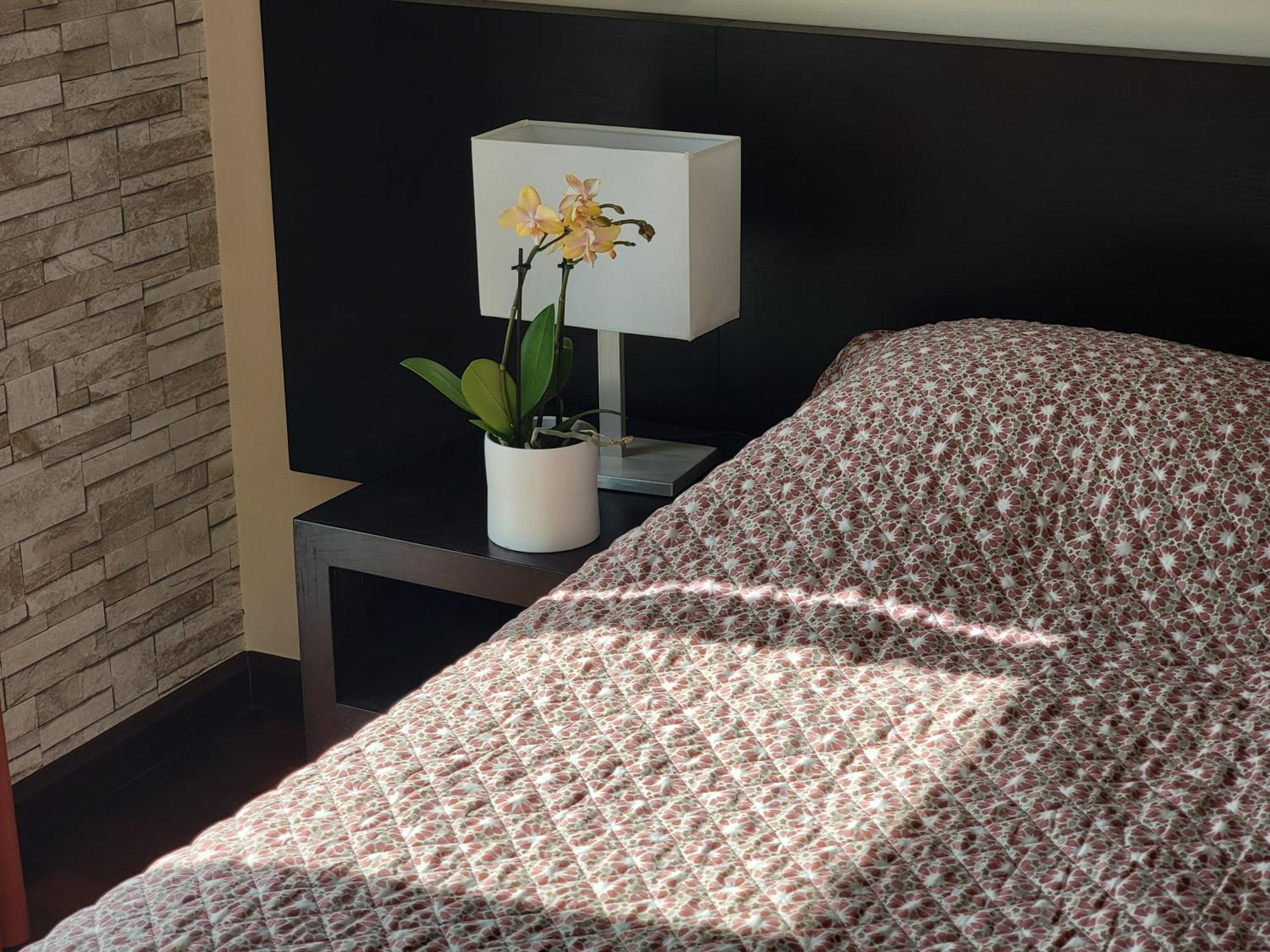 Newly Remodeled 2bd Brilliant Oura Strip 9min * Albufeira