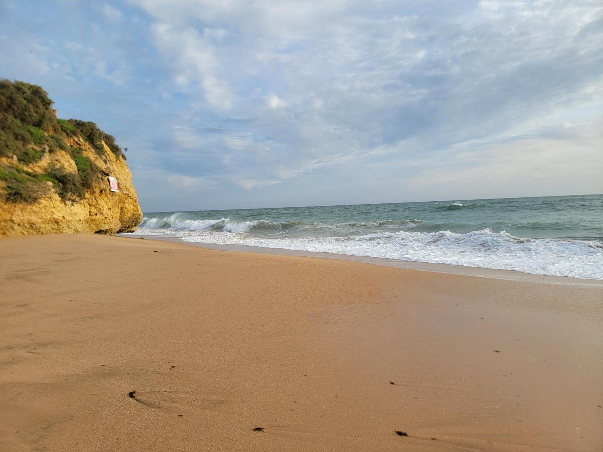 Apartment Newly Remodeled 2bd Brilliant Oura Strip 9min Albufeira