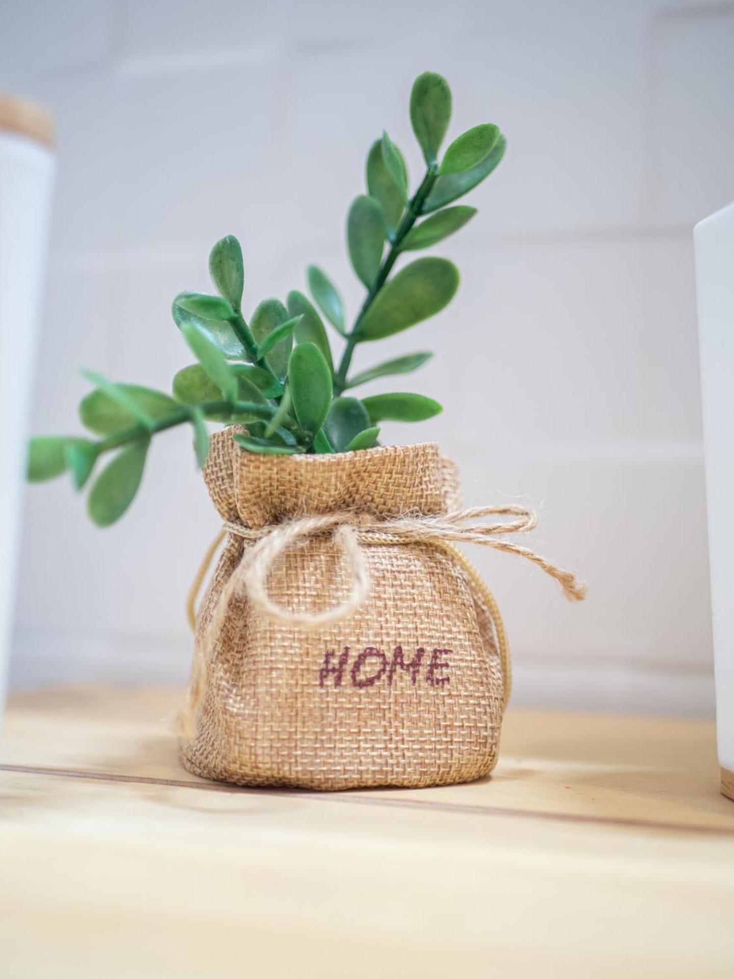 Appartement Boho House, Albufeira