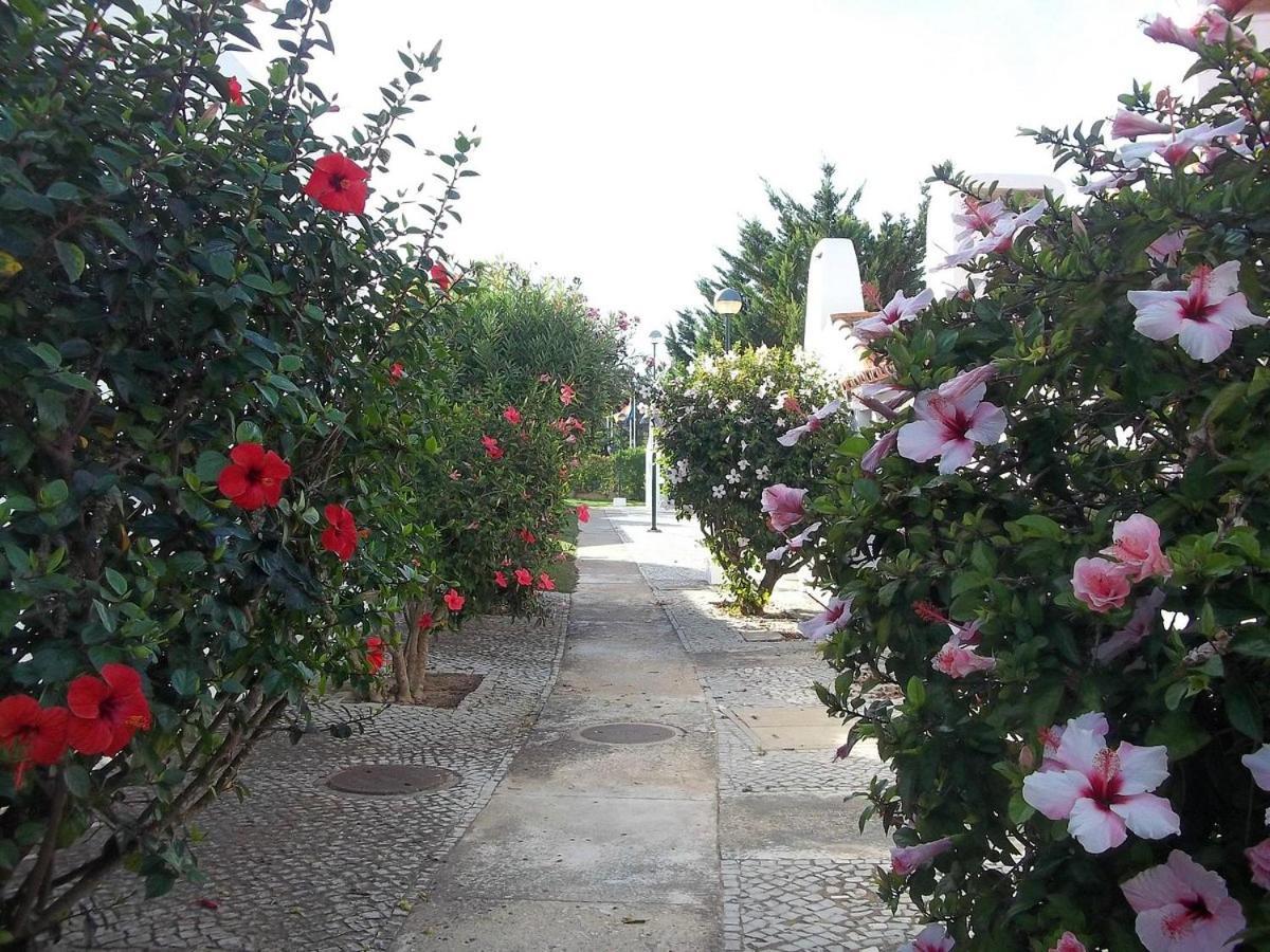 Apartment Aldeia Da Falesia *