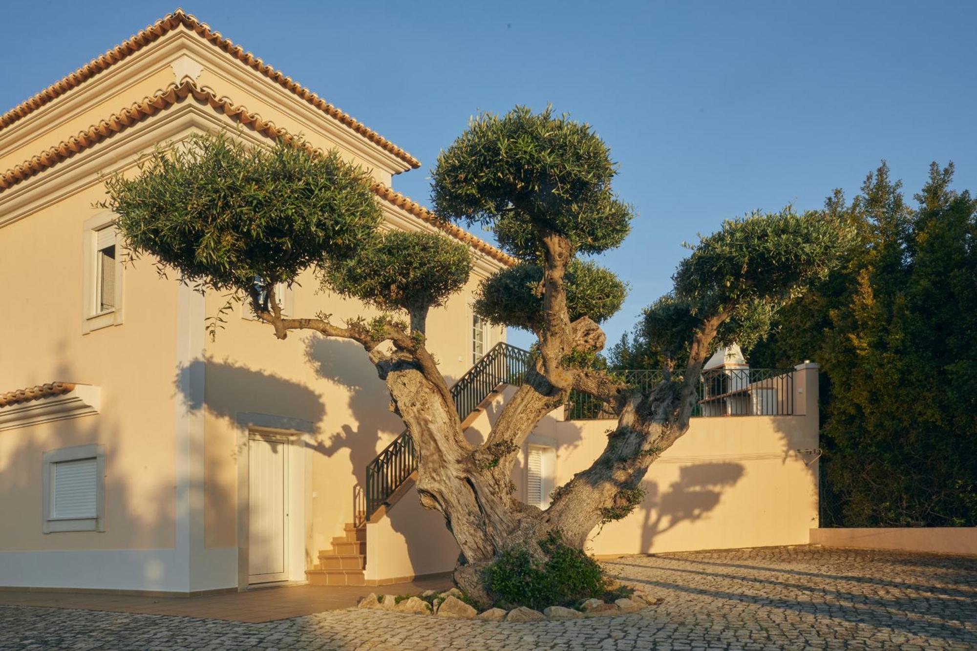 Monte Oliveiras With Private Pool Albufeira