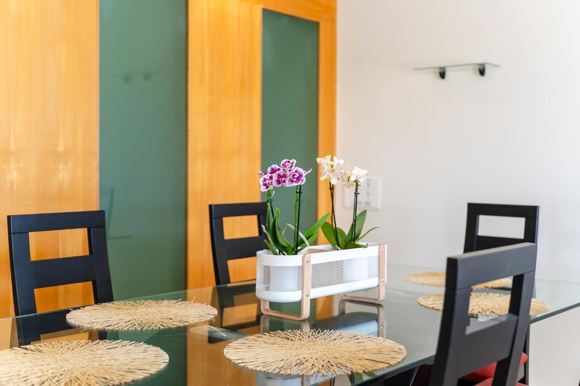 Apartment Newly Remodeled 2bd Brilliant Oura Strip 9min Albufeira