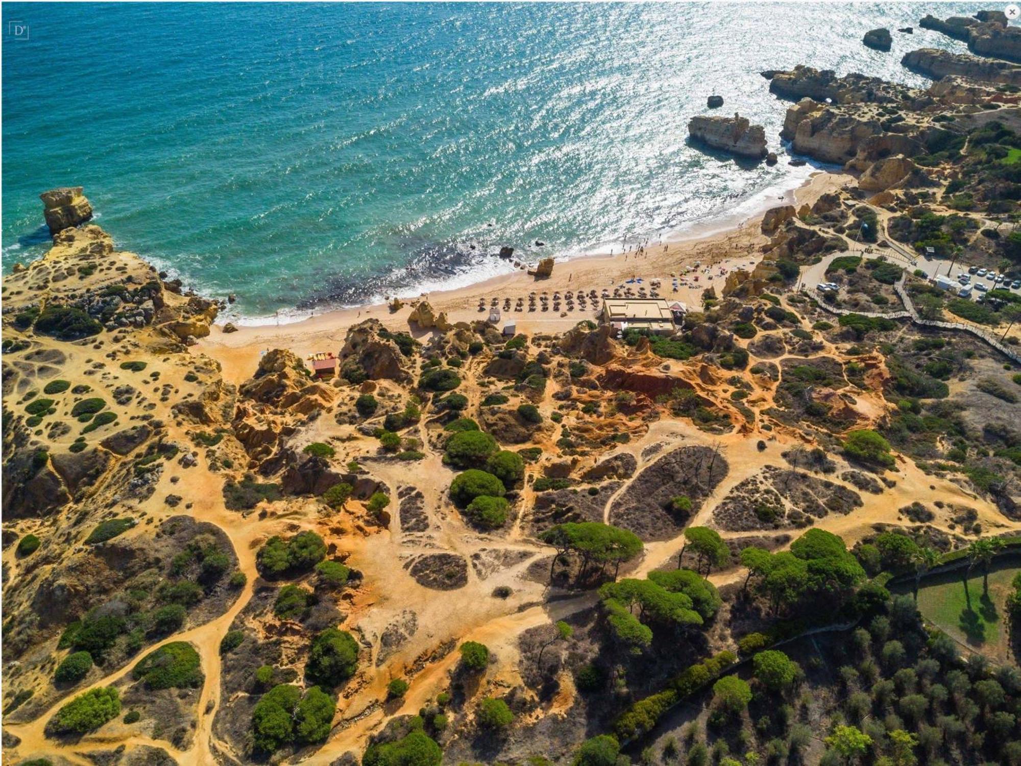 Apartment Apt. 65, Premium Location, Beach&swimming Pool Albufeira