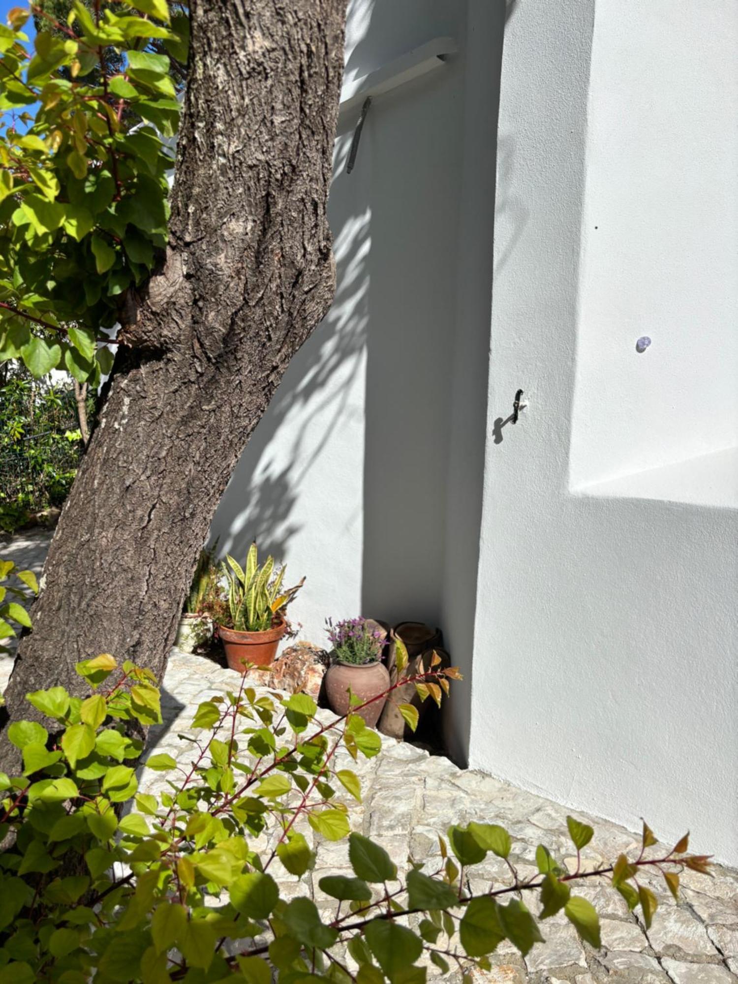 Namibe Na Quinta Da Balaia Villa
