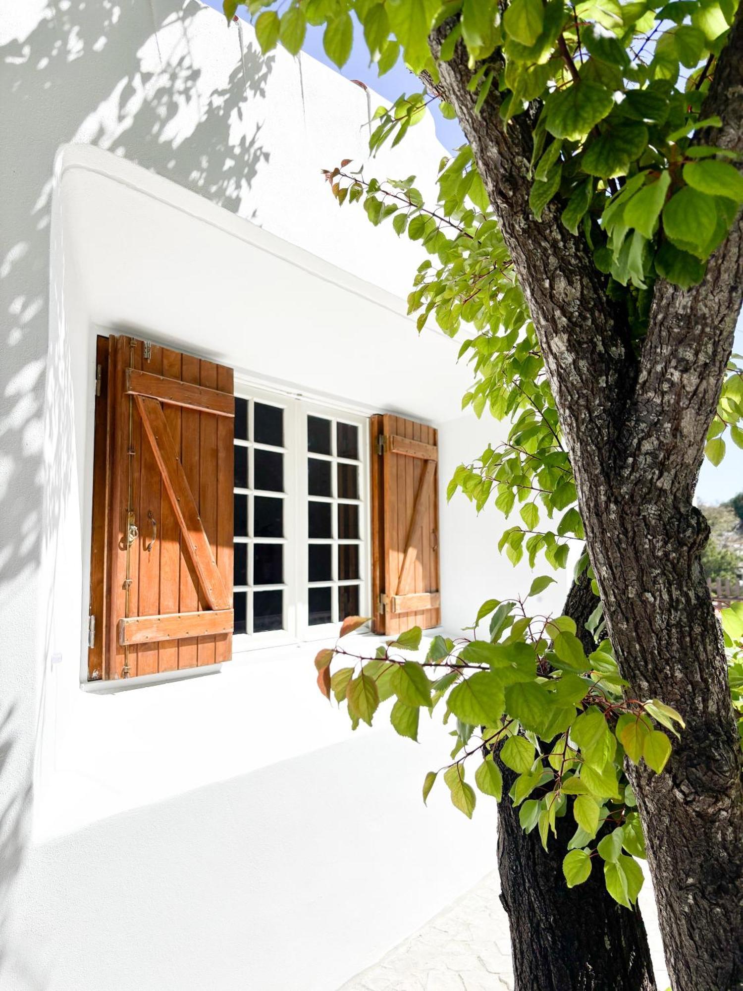 Namibe Na Quinta Da Balaia Albufeira