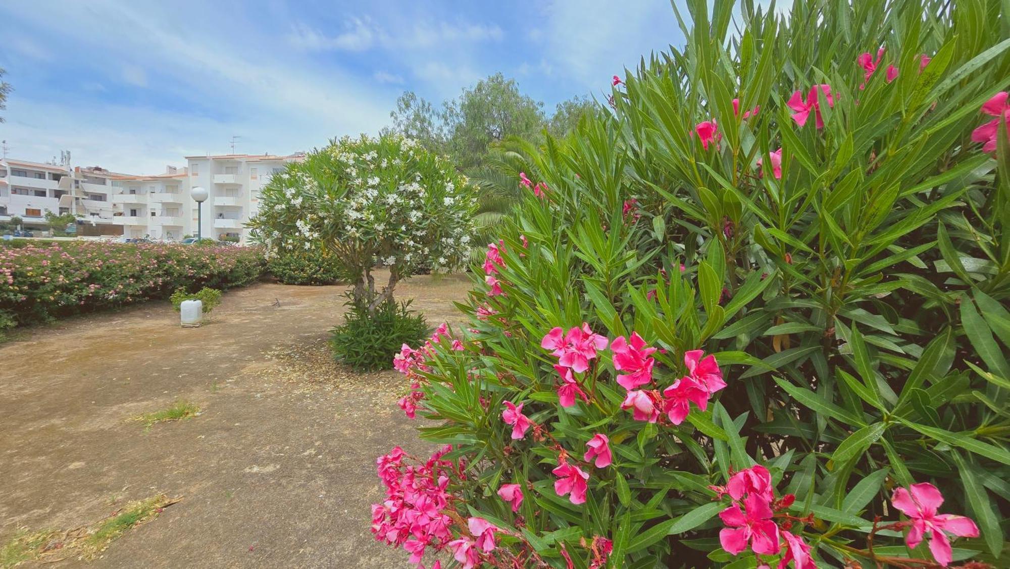 Eulalia With Pool And 5 Minutes From The *