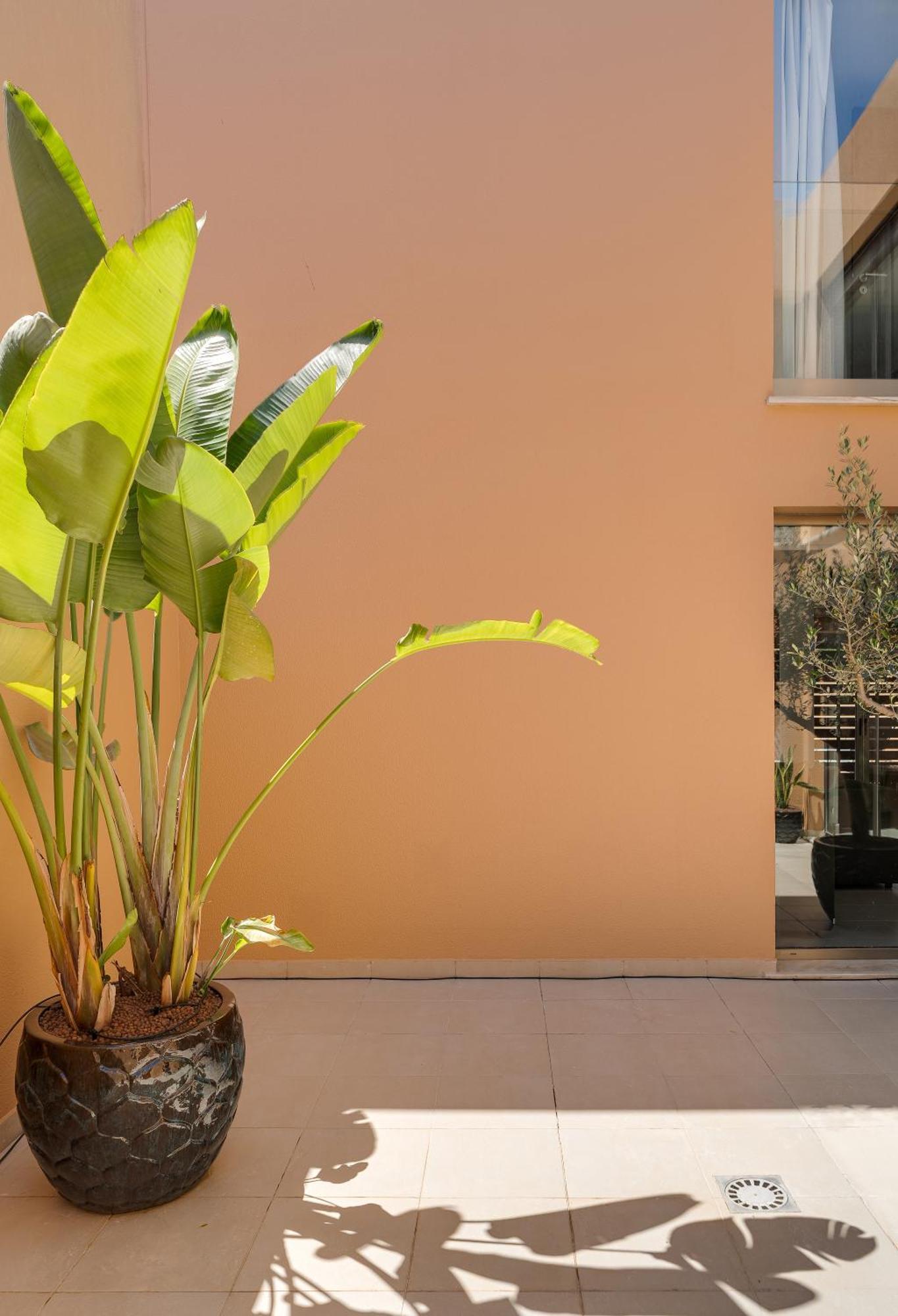 Salgados Premium By Da'home Pousada *