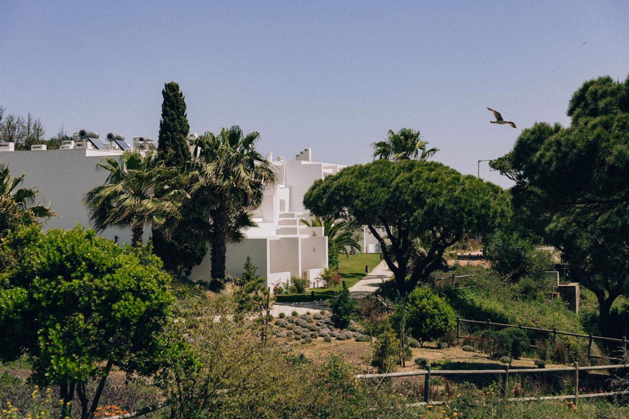 Campo de férias Masana Algarve