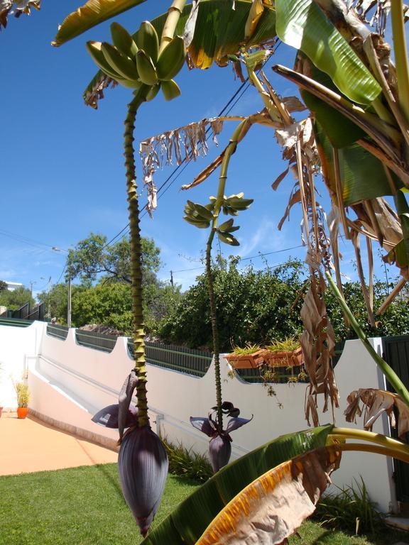 Cerro Guest house Albufeira