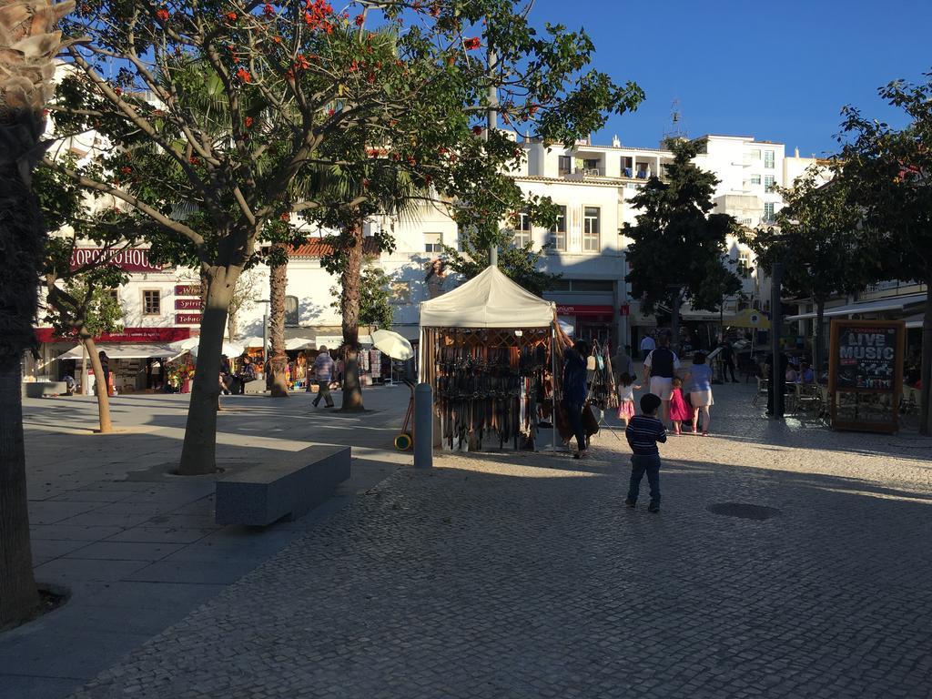 Terras Novas