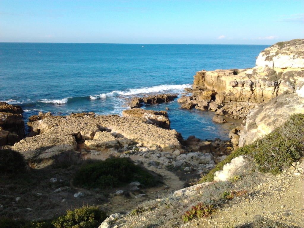 Villa Quinta Das Flores Albufeira