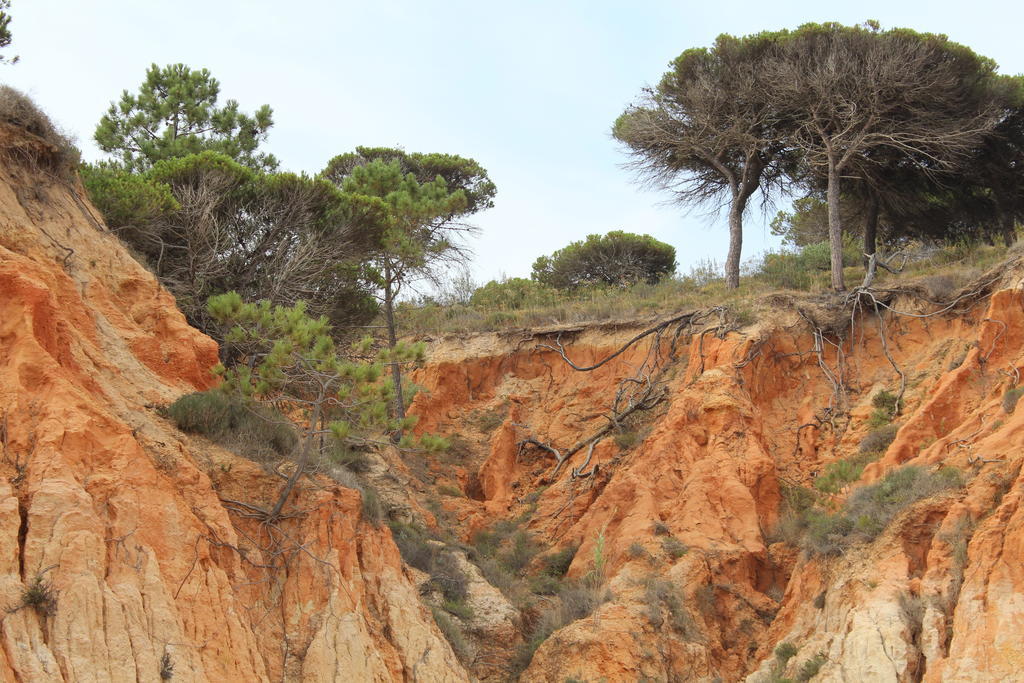 Turistico Acoteias Albufeira