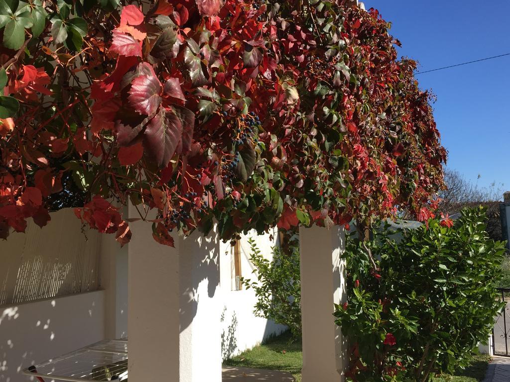 Perto Da Coelha Albufeira