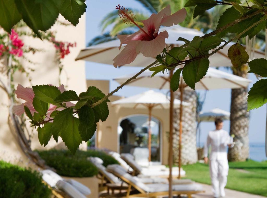 Vila Joya 5*