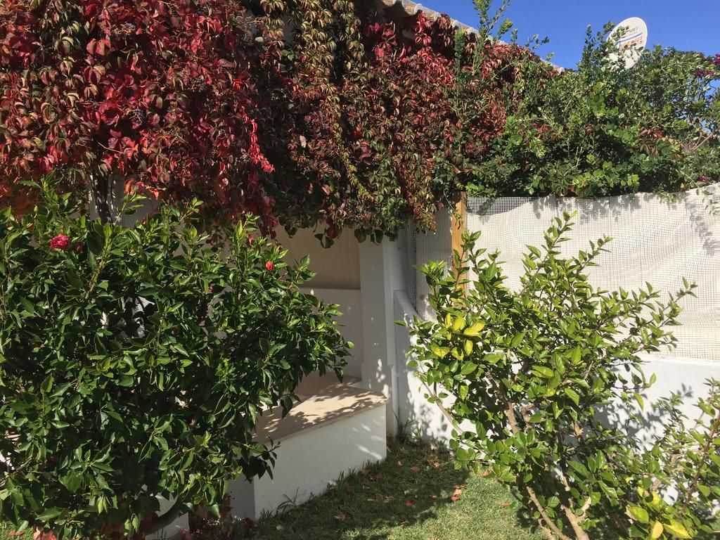 Perto Da Coelha * Albufeira