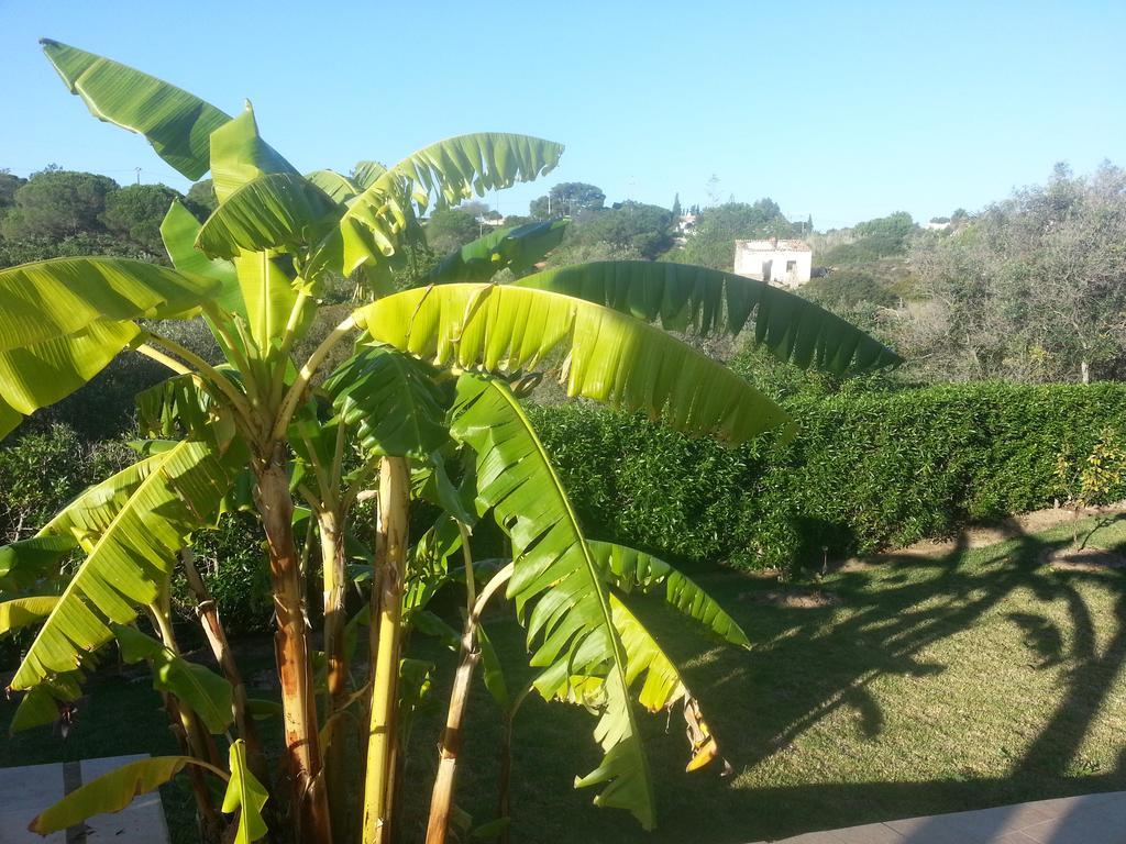 Bed & Breakfast Casa Cereja 'adults Only' *