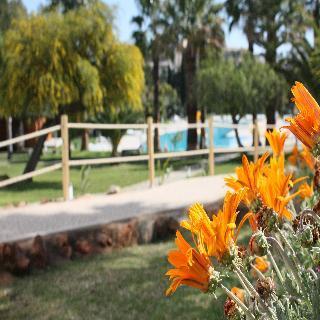 Vital By Check-In Portugal Holiday home *