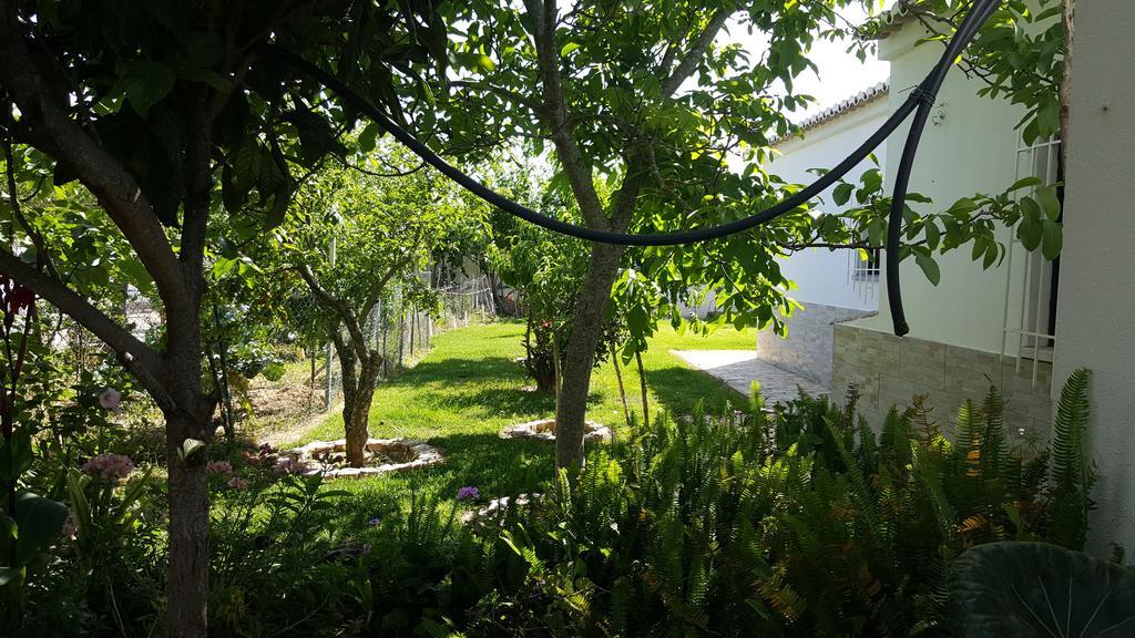 V3 Com Piscina Privada Albufeira