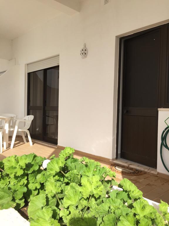 Fully Renovated Appartement Albufeira